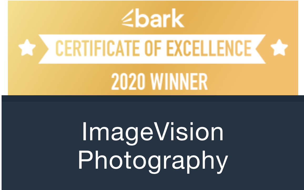 Bark CoE 2020 Winner.png